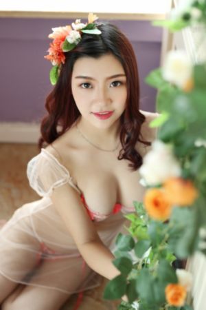 一路朝阳电视剧免费观看_蓝光免费全集观看